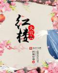 红楼大官人 红楼大官人