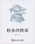 杜小兴传奇 杜小兴传奇