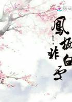 凤栖非白处 凤栖非白处