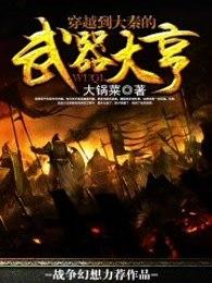 穿越到大秦的武器大亨 穿越到大秦的武器大亨