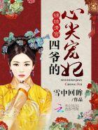 锦绣清宫:四爷的心尖宠妃 锦绣清宫:四爷的心尖宠妃
