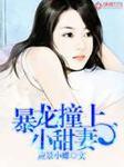 暴龙撞上小甜妻 暴龙撞上小甜妻