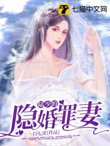 陆少的隐婚罪妻 陆少的隐婚罪妻