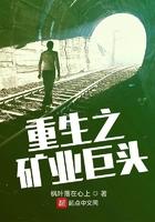 重生之矿业巨头 重生之矿业巨头